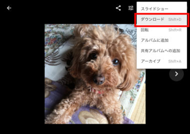 Googleフォトにある写真・動画をパソコンにダウンロード