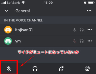 スマホ版アプリ Discord で通話できない 音や声が聞こえない時は