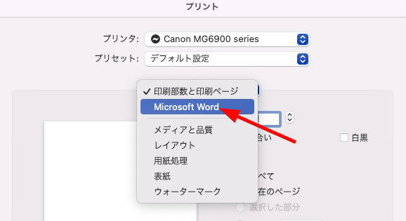 Word Microsoft Word