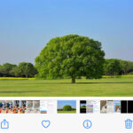 写真・画像のサイズを小さく縮小する方法 – iPhone/iPad