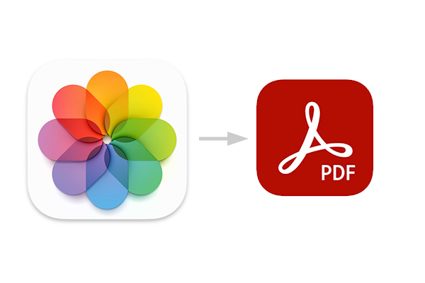 IPhone iPad PDF 