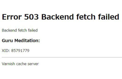 Error503backend Fetch Failed